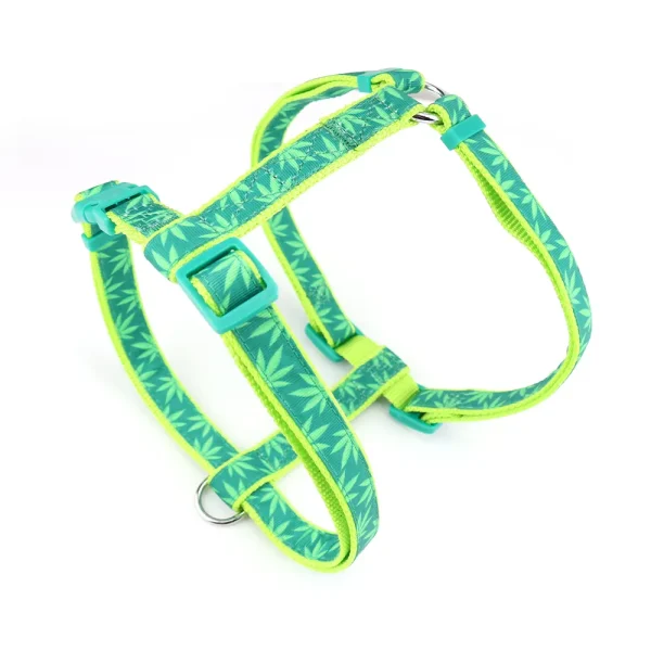 h harness dog