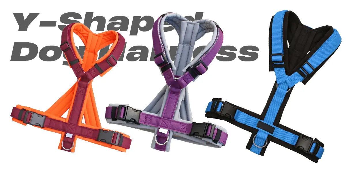 y shaped harness dogs
