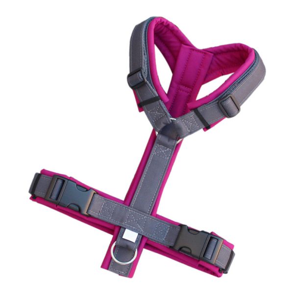 Custom Y-Shaped Dog Harness