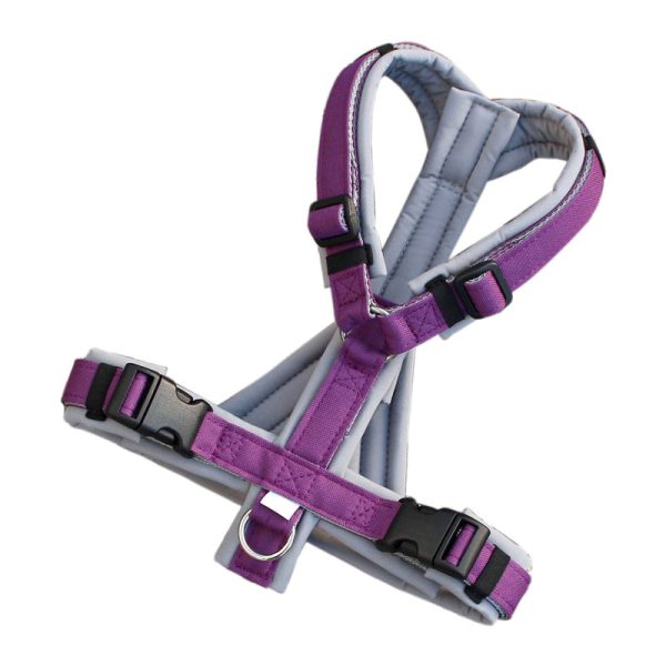 Custom Y-Shaped Dog Harness