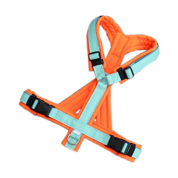 Custom Y-Shaped Dog Harness