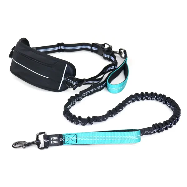 hands free dog leash with pouch