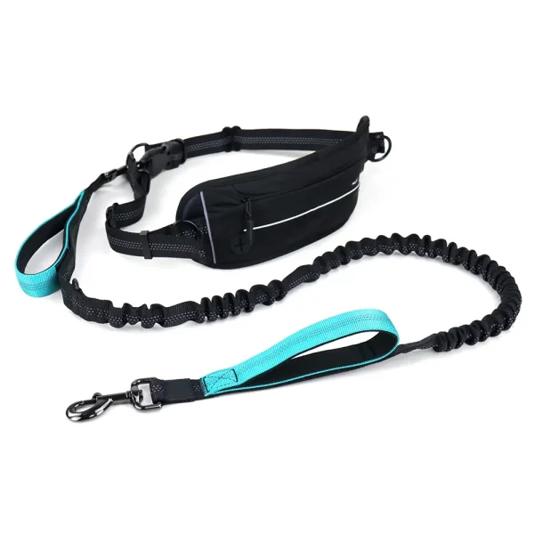 dog leash with pouch