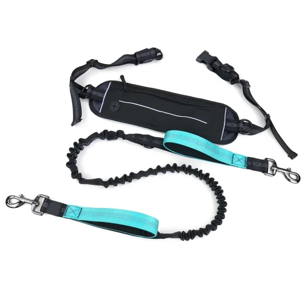 hands-free dog leash with pouch