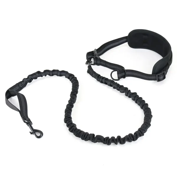 handsfree dog leash with pouch