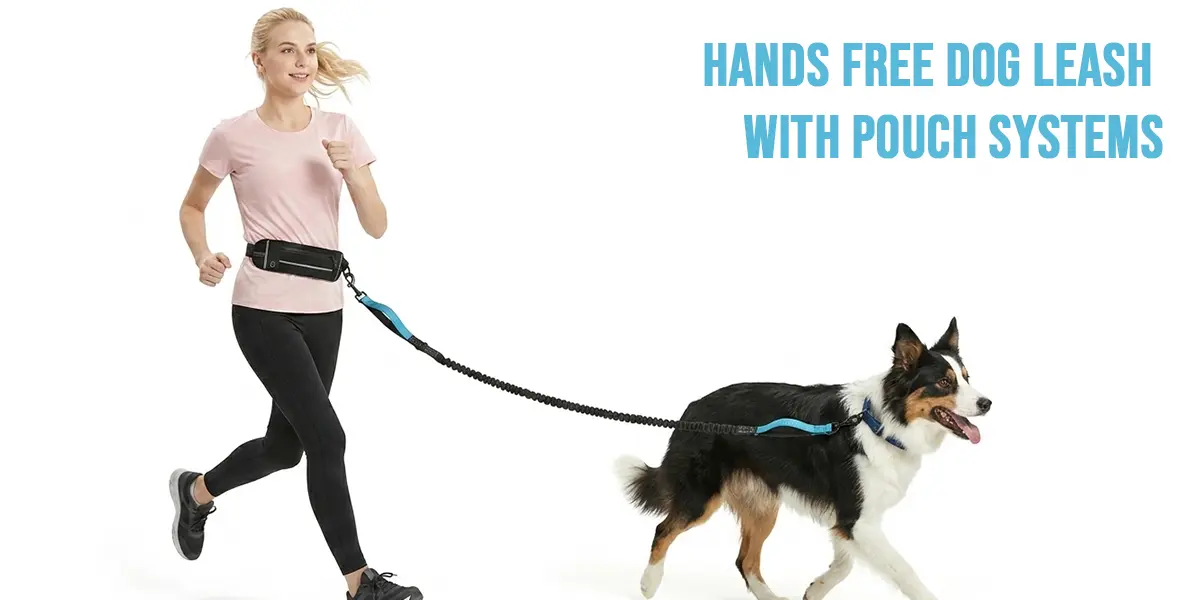 Dog Leash with Pouch