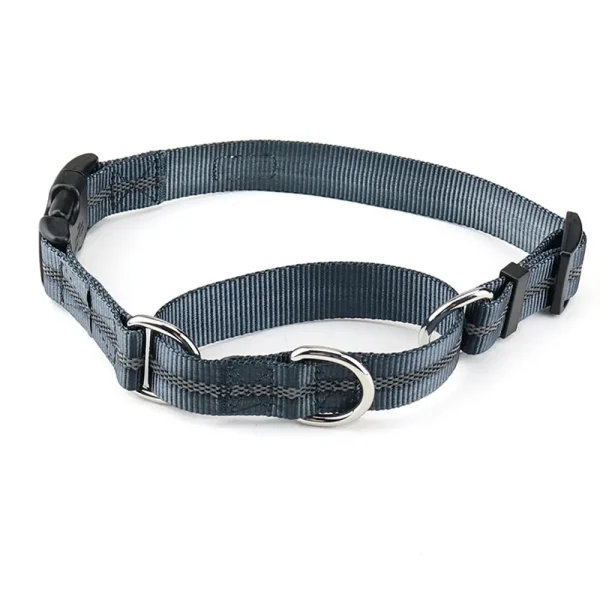 grey martingale dog collar