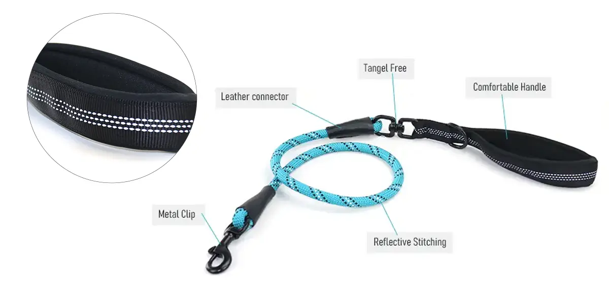 dual dog leash tangle free