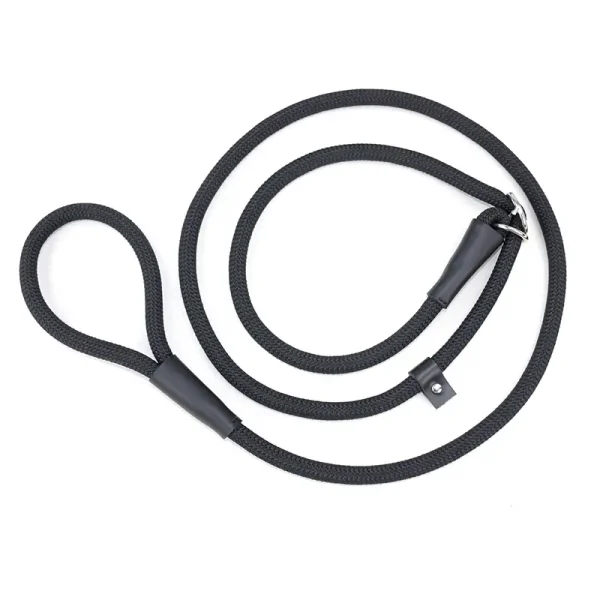 Best slip leash for dogs