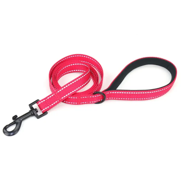 Nylon Dog Leash red
