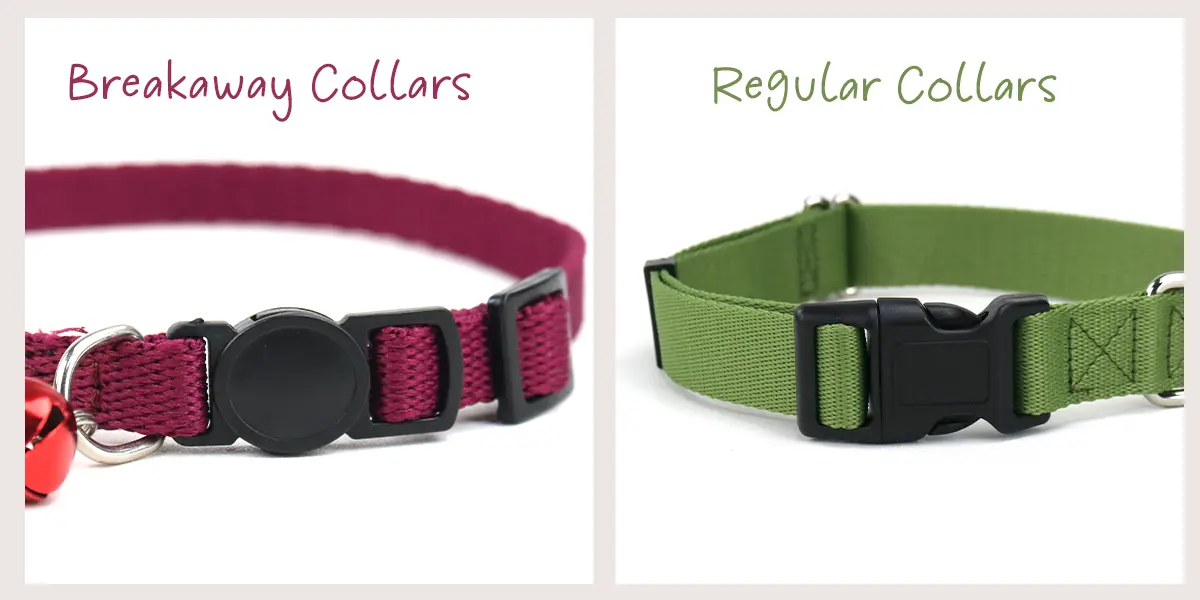 Breakaway vs Regular Collars